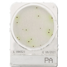Середовище мікробіологічне Compact Dry PA Pseudomonas aeruginosa 40 шт/уп